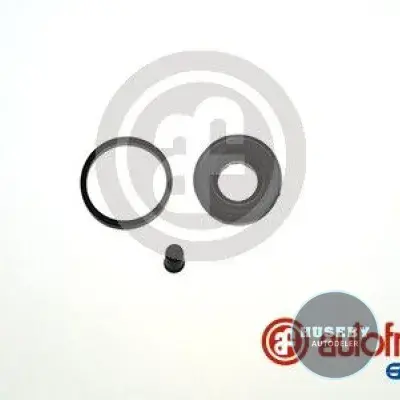 Renault 8 10 870293000 D4055